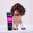 doggylush